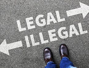 Immigration Fraud